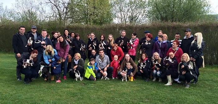 Original group photograph of Boston Terrier owners gathered outdoors with their dogs at a community meetup.